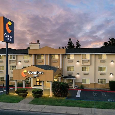 Comfort Inn Modesto Ngoại thất bức ảnh