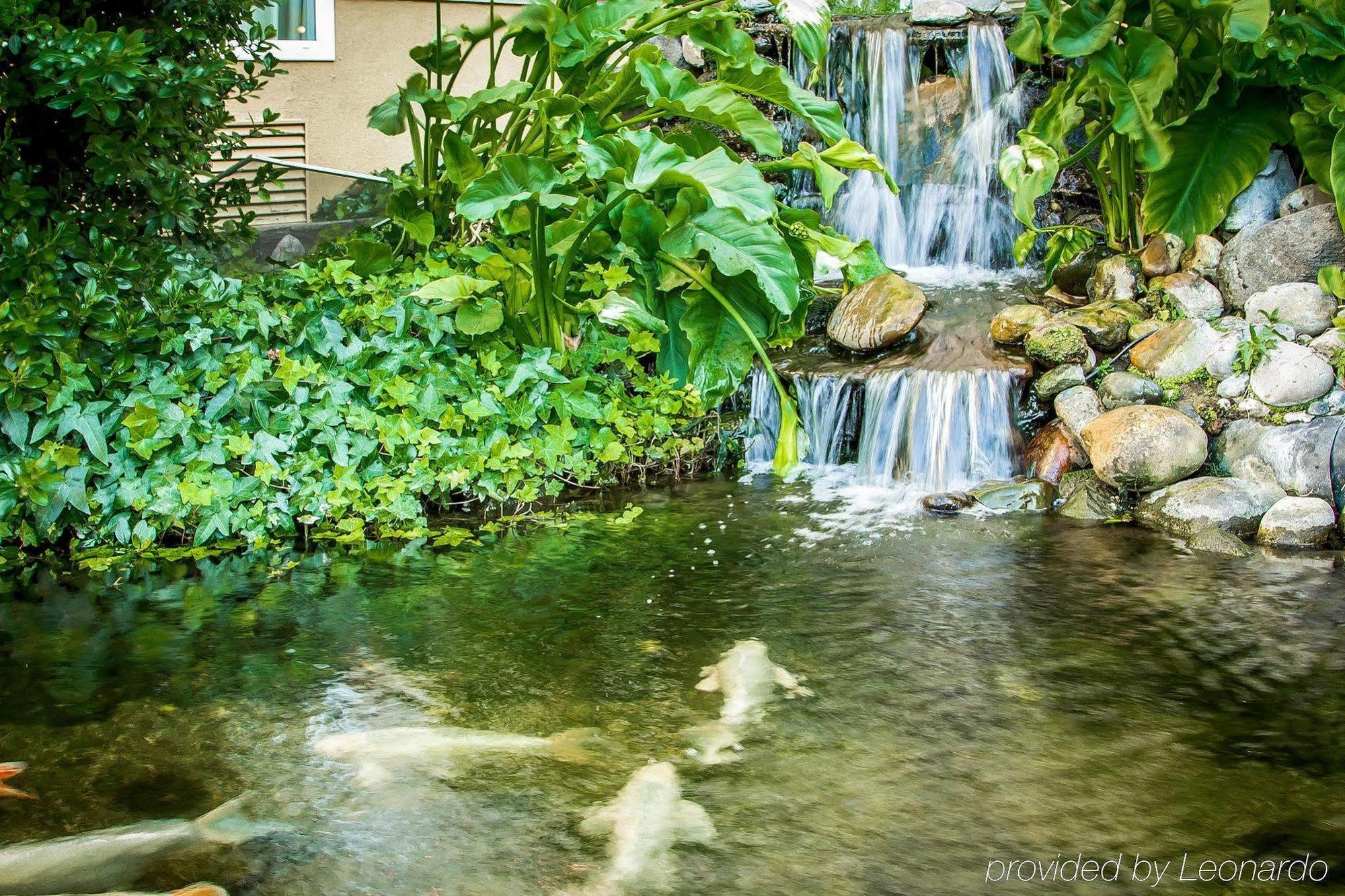 Comfort Inn Modesto Ngoại thất bức ảnh